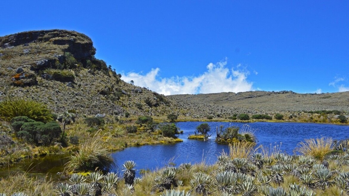 Natural national Park Sumapaz, from Bogota